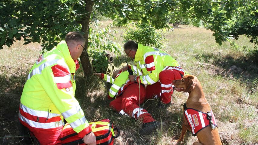 Rettungshunde beim ASB Schleswig-Holstein
